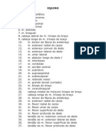 244795_comparativo membro toracico