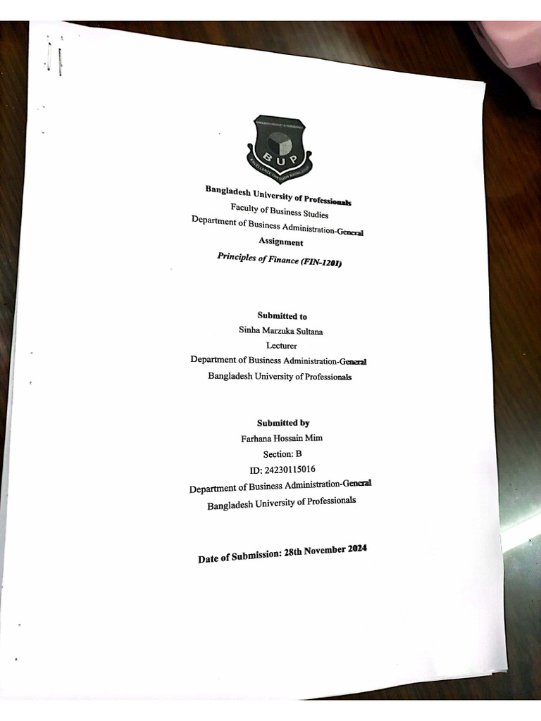 Finance Assignment 1 | PDF