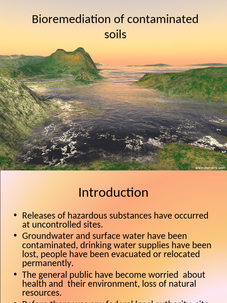 Bioremediation Techniques for Soil Cleanup | PDF | Superfund | Pollution
