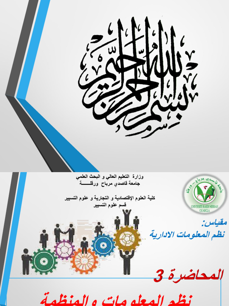 3- نظم المعلومات والمنظمة | PDF