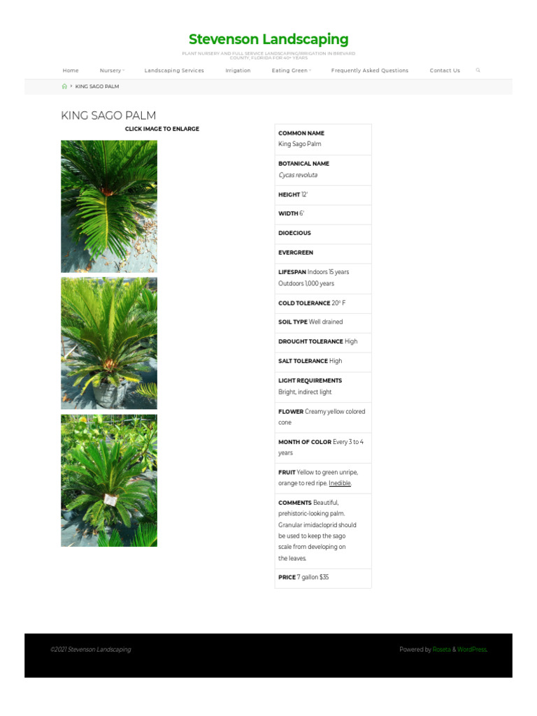 King Sago Palm Care Guide | PDF | Botany | Plants