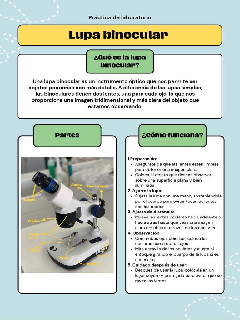 Lupa Binocular | PDF