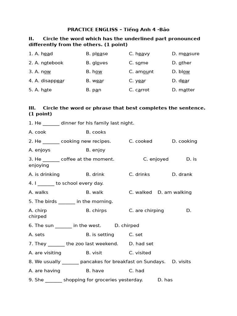 PRACTICE ENGLISH - Bảo | PDF