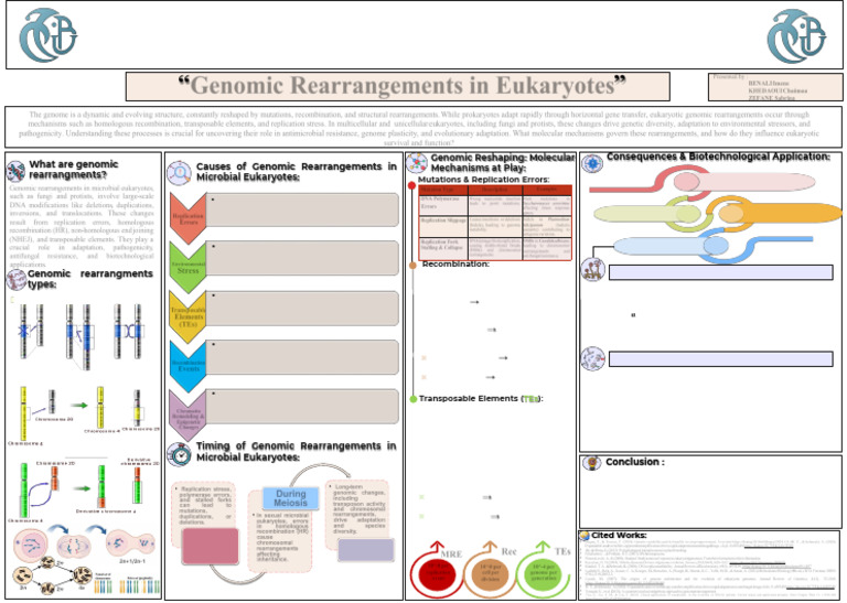 Genomic Rearrangment in Encaryotes | PDF | Genome | Transposable Element