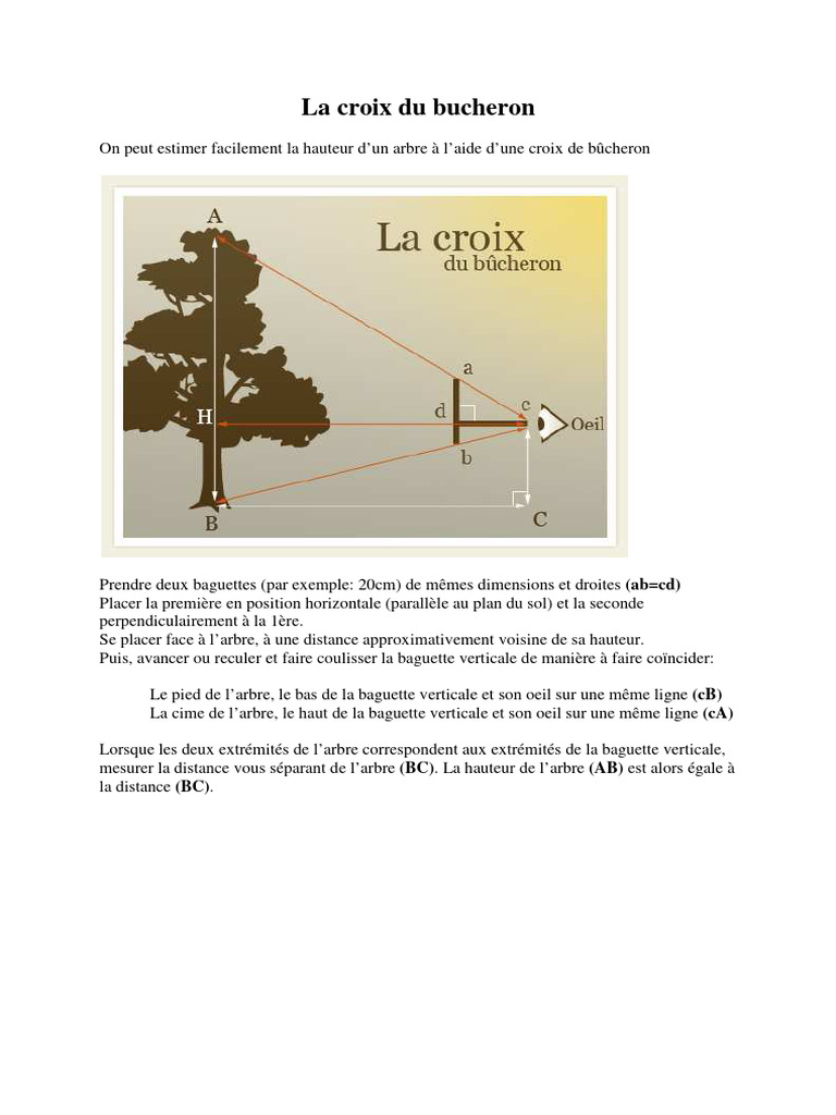 Estimer la hauteur d'un arbre facilement PDF — free download
