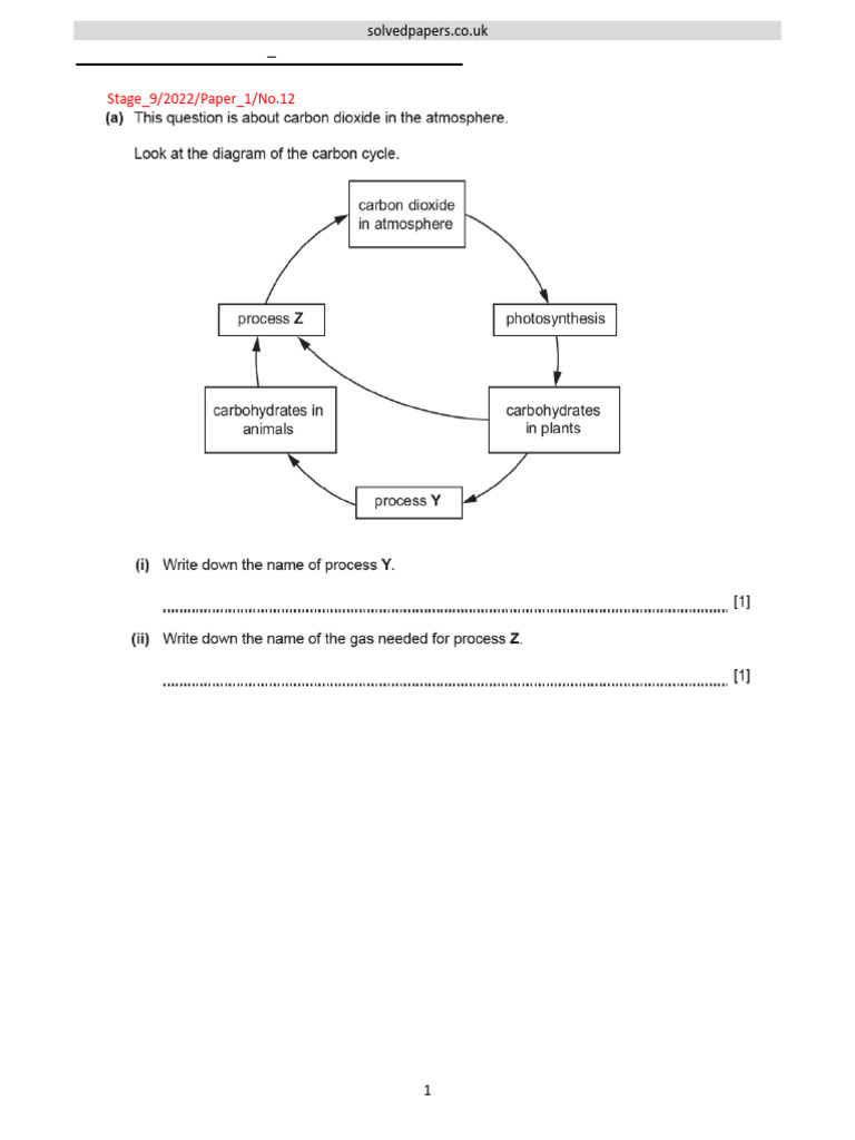 2022 14 Habitats and Environment Checkpoint Sec 1 Biology Progression | PDF