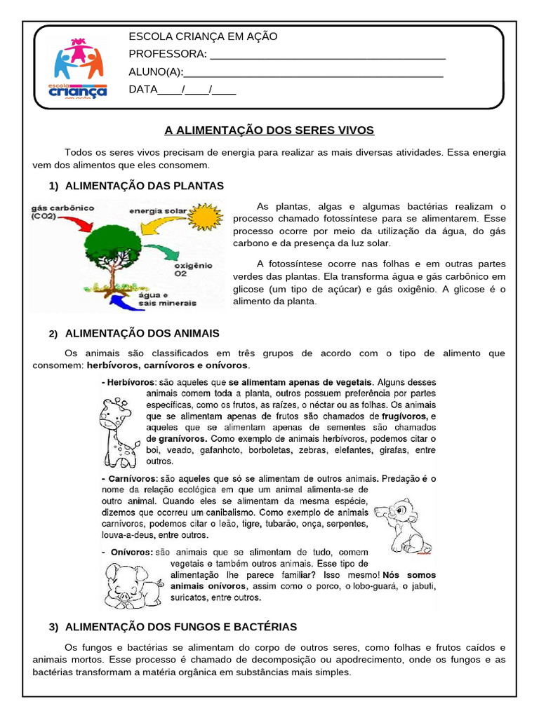 Alimentação dos Seres Vivos | PDF