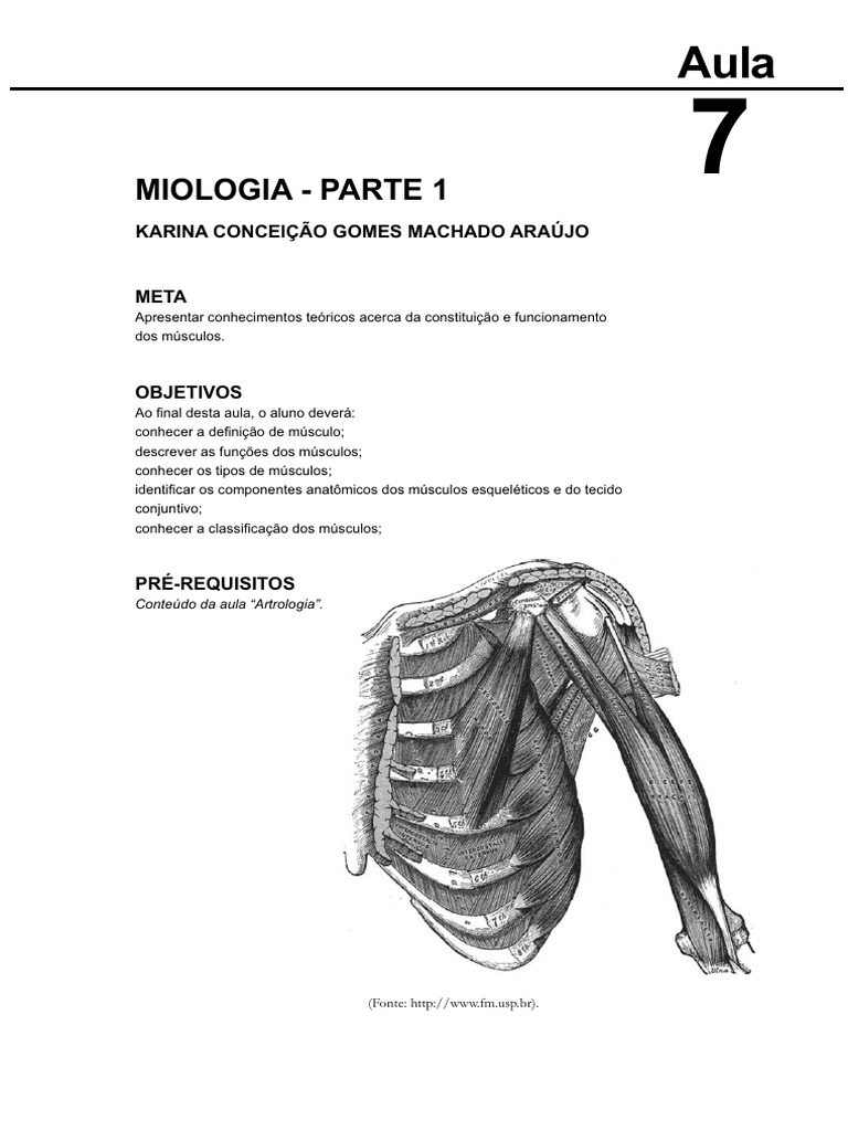 16132215102012elementos de Anatomia Humana Aula 7 | PDF