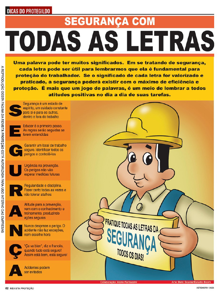 DDS - Segurança Com Todas As Letras | PDF