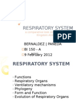 Respiratory System