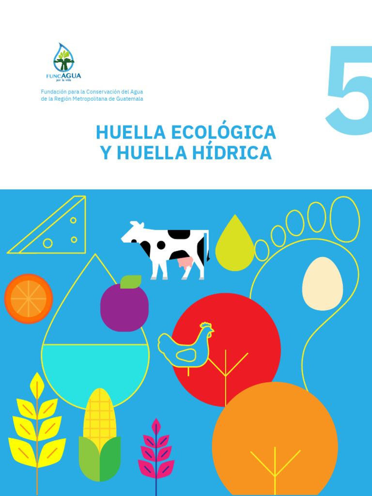 Tríptico: Huella Ecológica y Hídrica | PDF | Agua | Ciencias de la Tierra