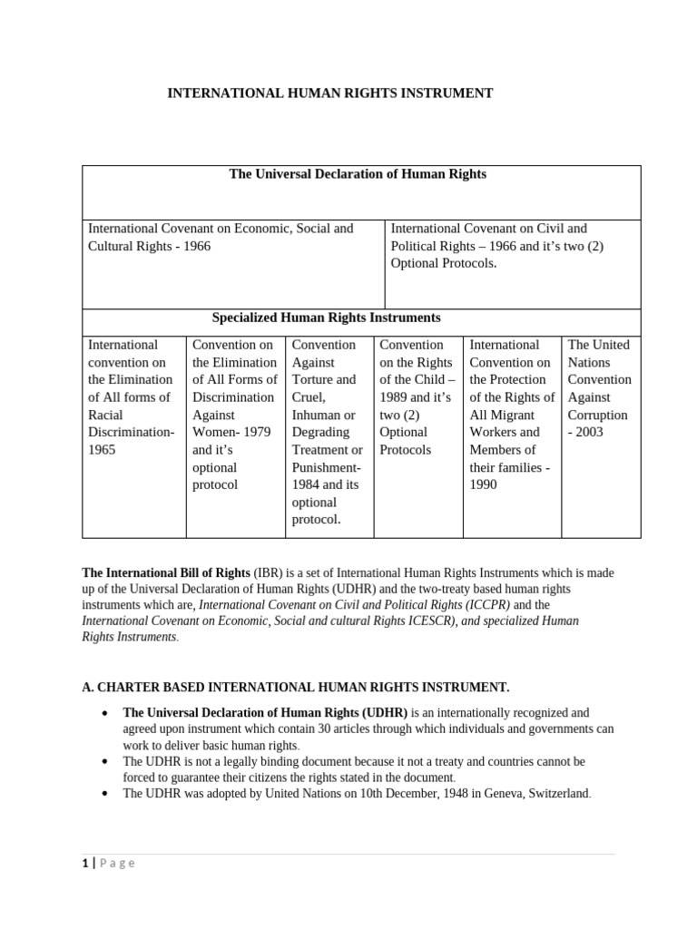 Overview of International Human Rights Instruments | PDF | Human Rights ...
