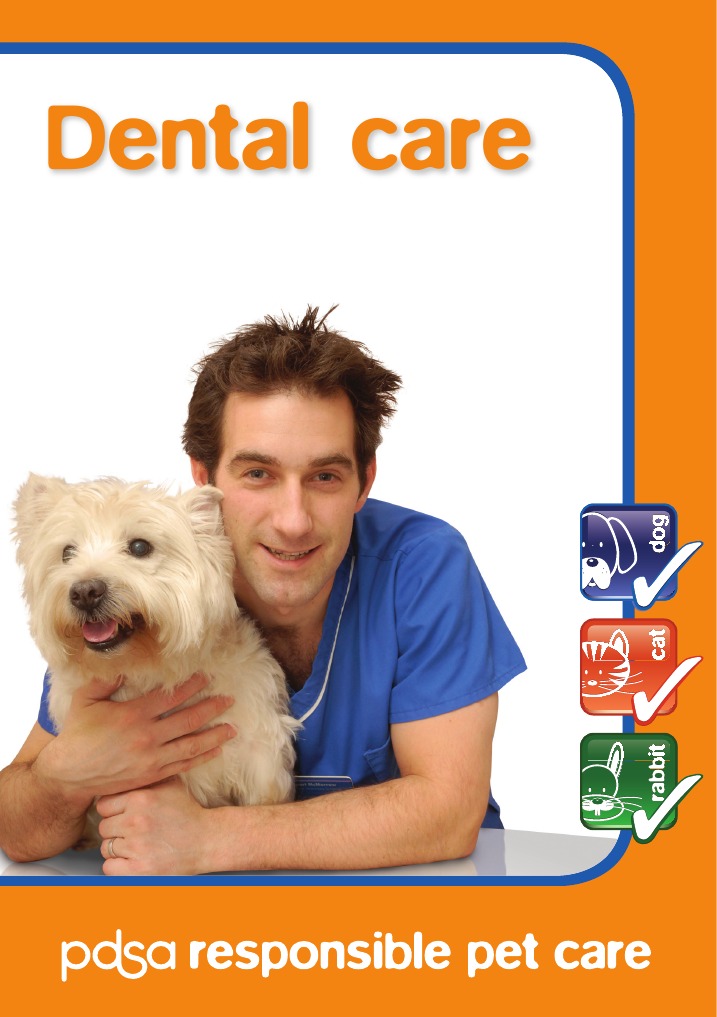RPC Dental Care | PDF | Oral Hygiene | Human Tooth