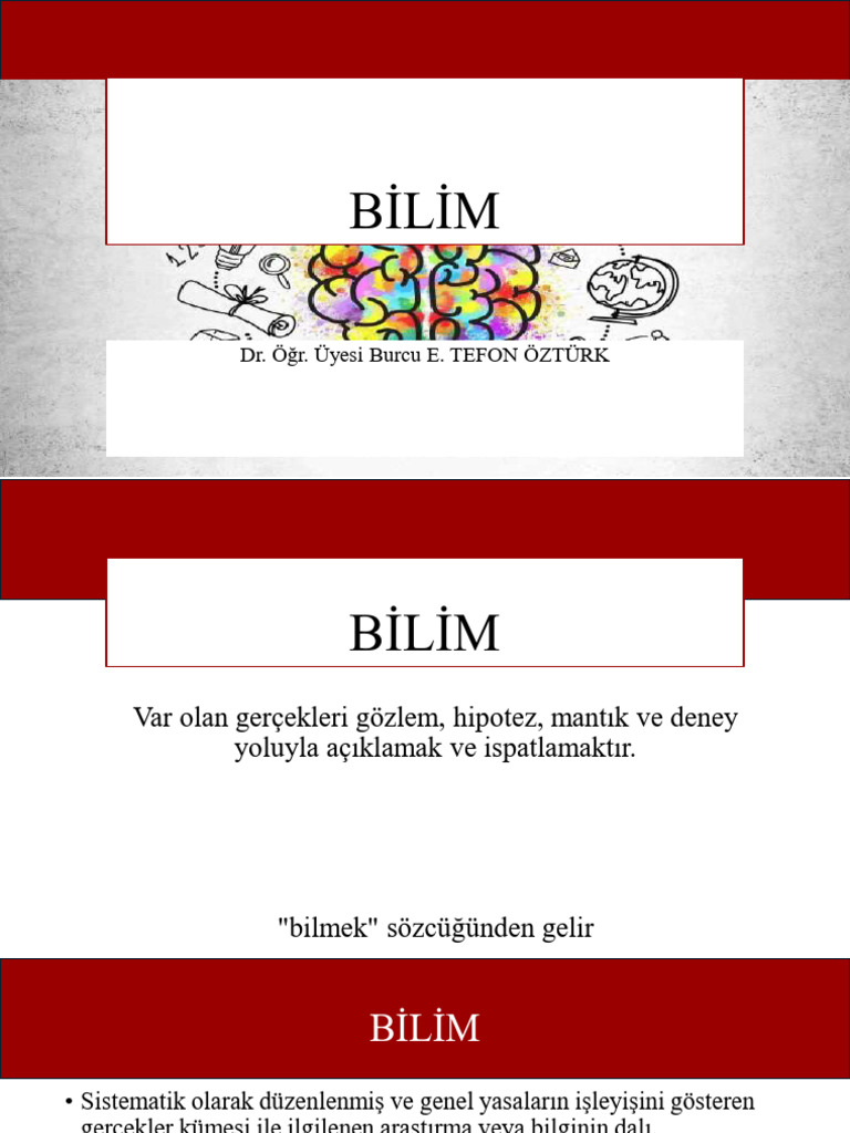 Bilim | PDF