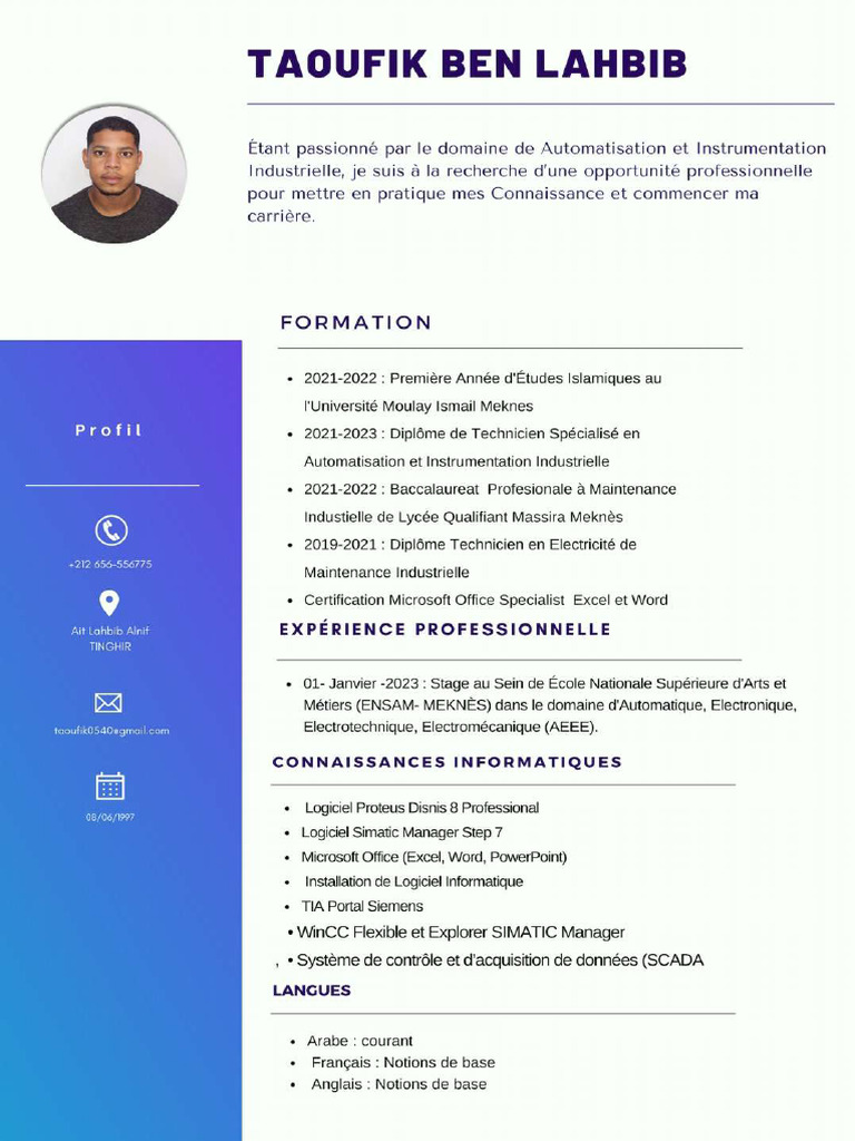 CV - Compressed | PDF