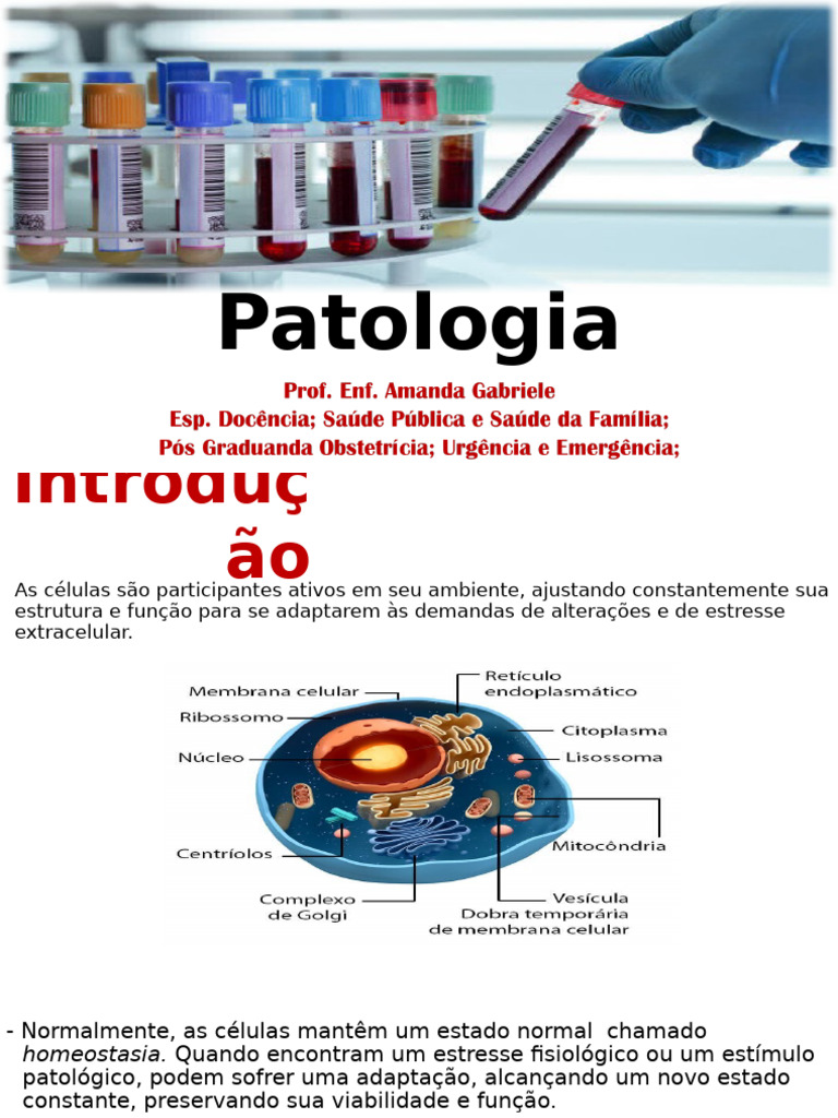 Patologia Slide 2 | PDF | Patologia | Especialidades médicas