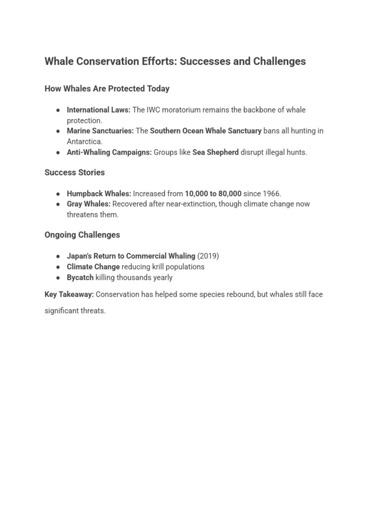Whale Conservation Efforts Successes and Challenges | PDF