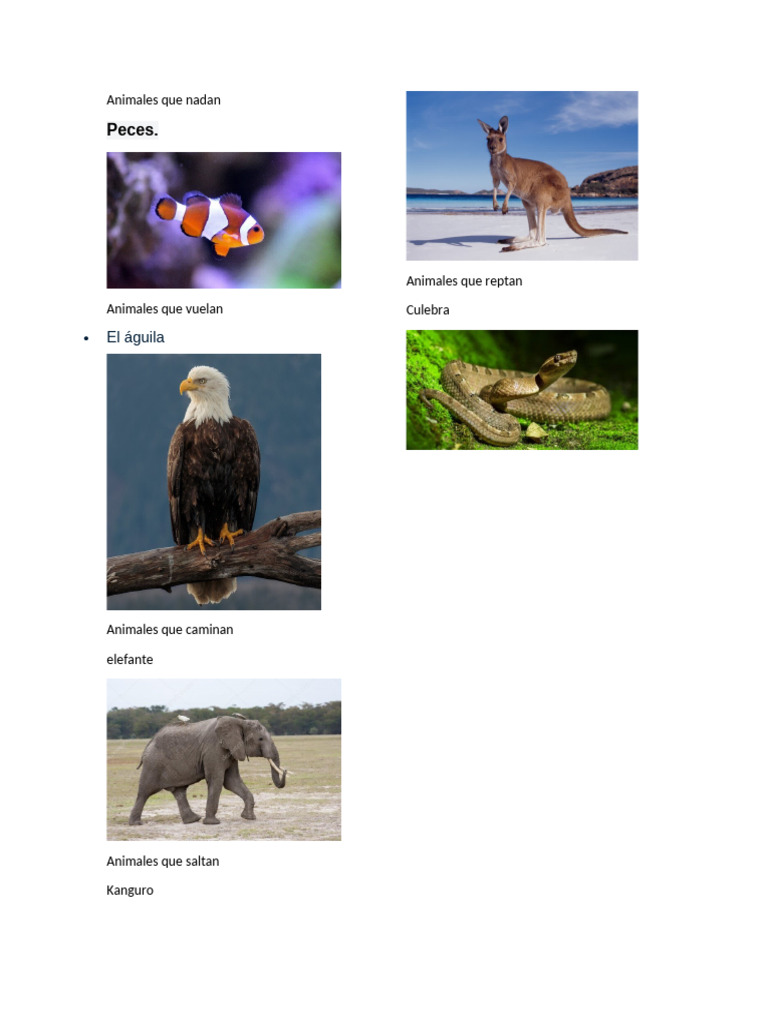 Animales que Nadan y Vuelan | PDF