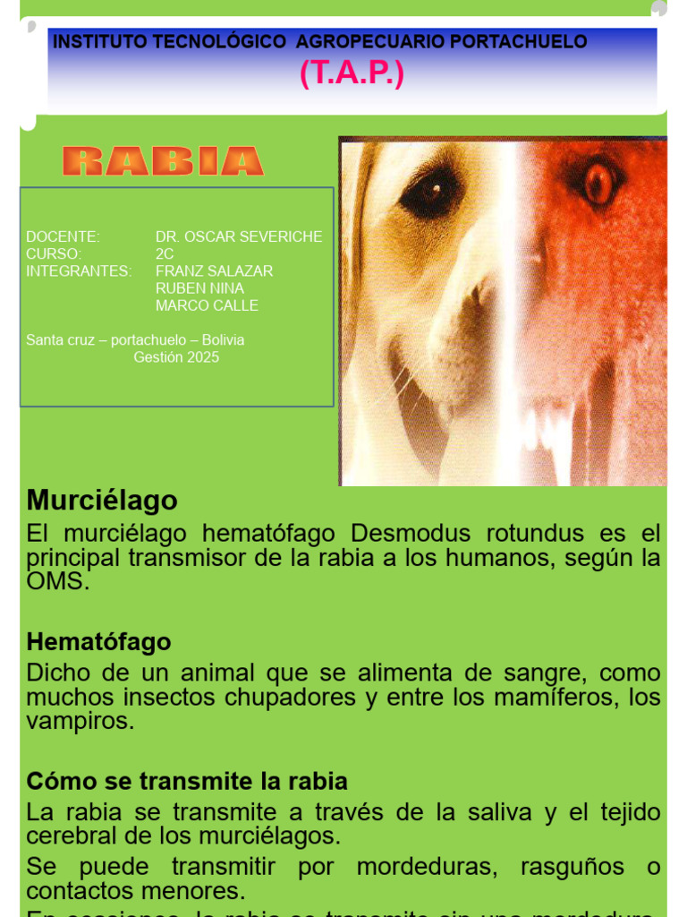 Rabia: Transmisión y Prevención en Animales | PDF | Rabia | Inmunología
