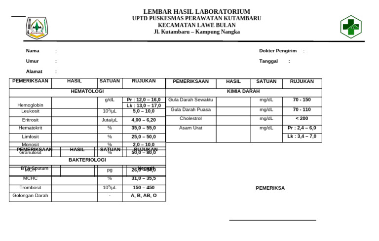 Lembar Hasil Laboratorium Amma | PDF