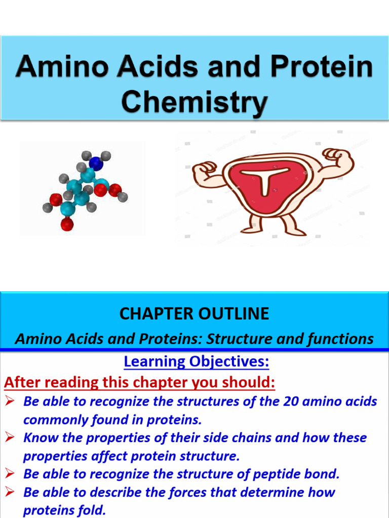 Amino Acids and Protein Structure Overview | PDF | Amino Acid ...
