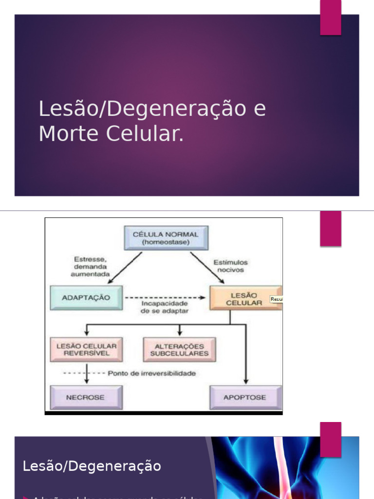 Lesão e Morte Celular: Tipos e Causas | PDF | Necrose | Apoptose