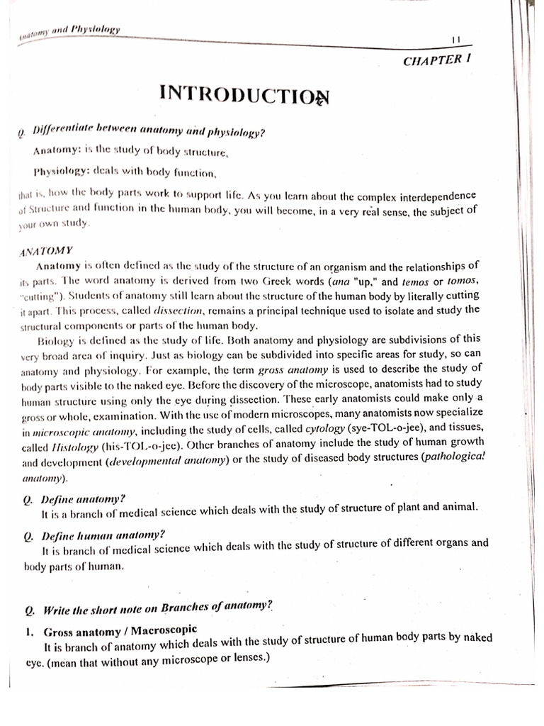 Anatomy and Physiology 1&2 Chapter | PDF