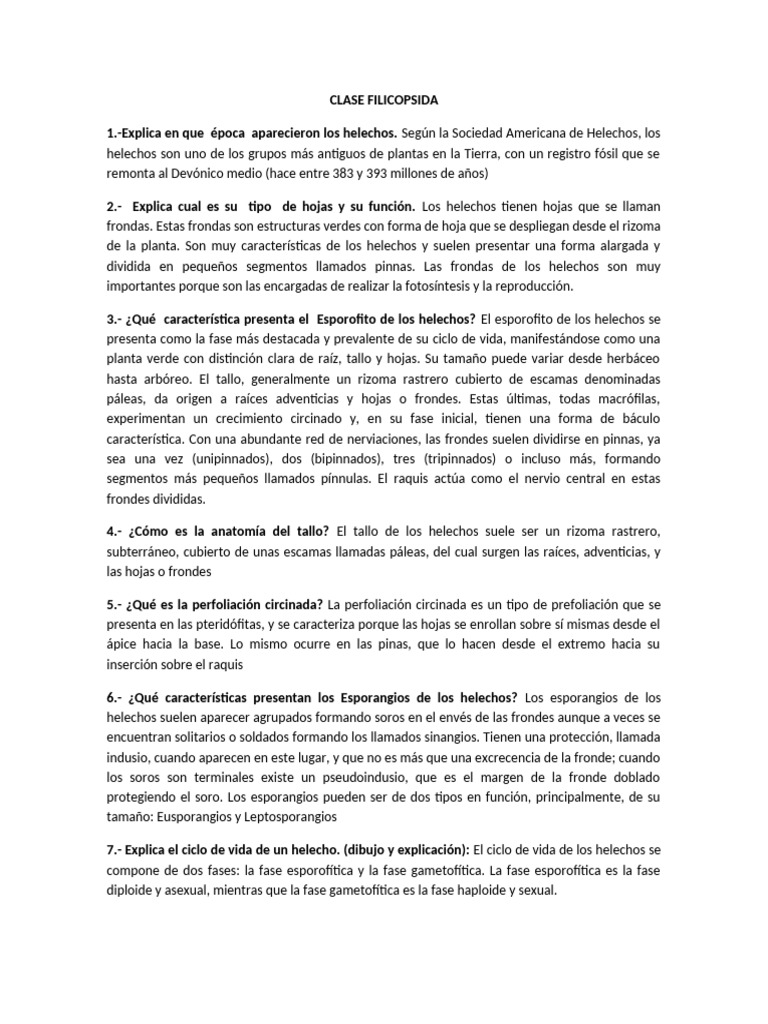 Clase Filicopsida | PDF | Helecho | Plantas