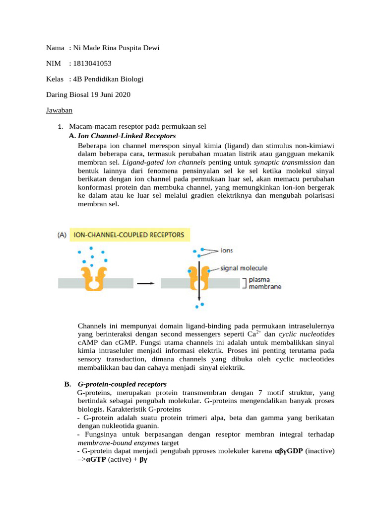 Reseptor Sel dan Mediator Imun dalam Biologi | PDF