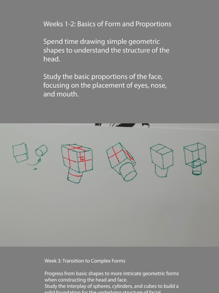 Potrait Drawing | PDF