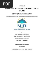 Download MAKALAH DROSOPHILA by Fuad Albani SN85791298 doc pdf