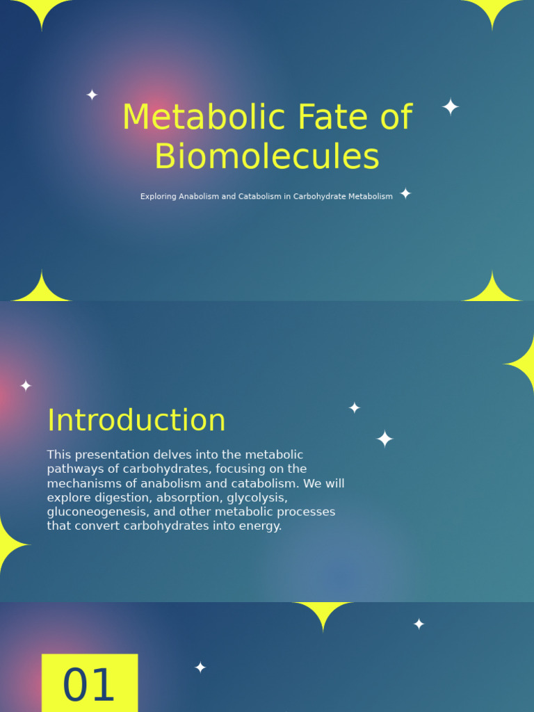 Metabolic Fate of Biomolecules 2 | PDF | Metabolism | Cellular Respiration