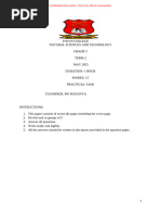 Grade 7 Natural Science Practical Task | PDF | Acid