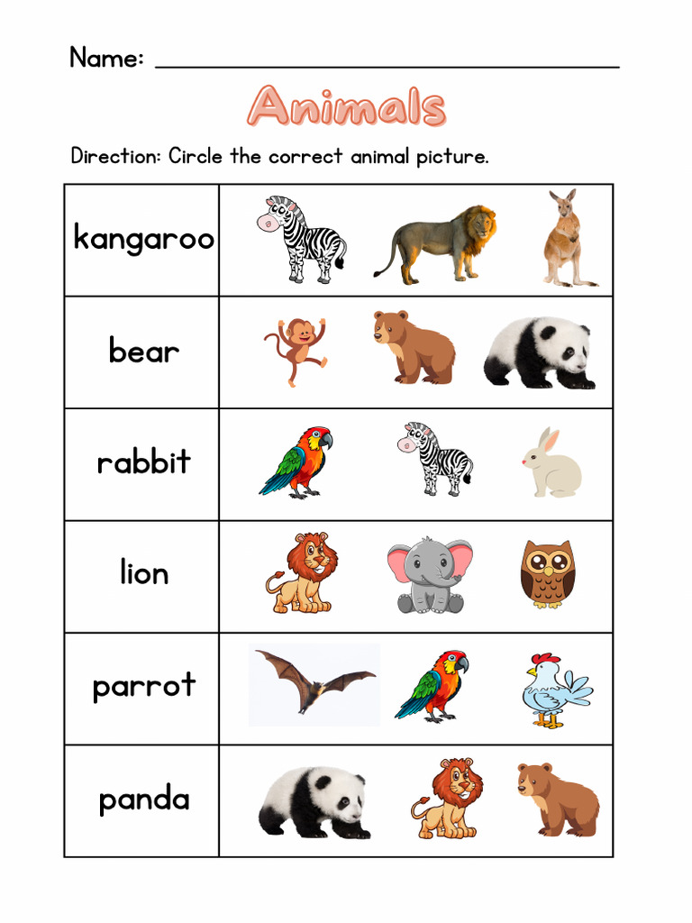 Animal Worksheet | PDF