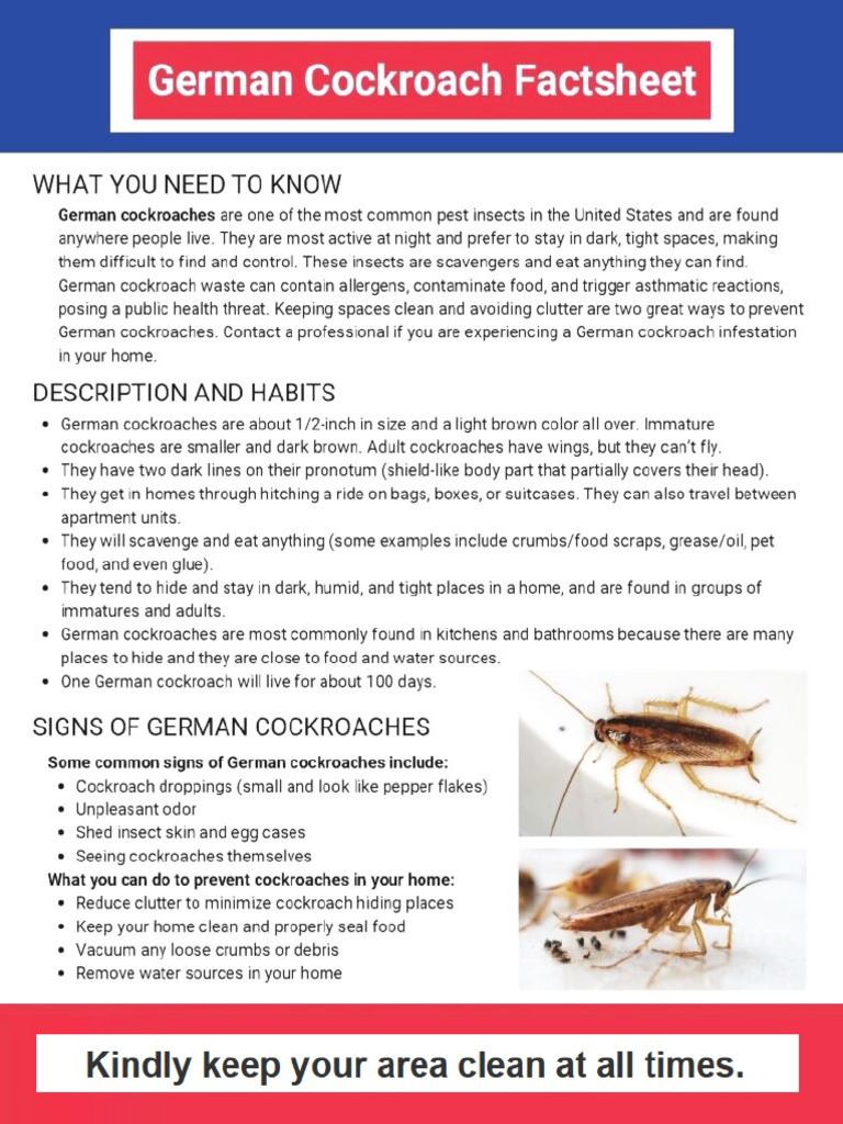 Rose German Cockroach Factsheet | PDF