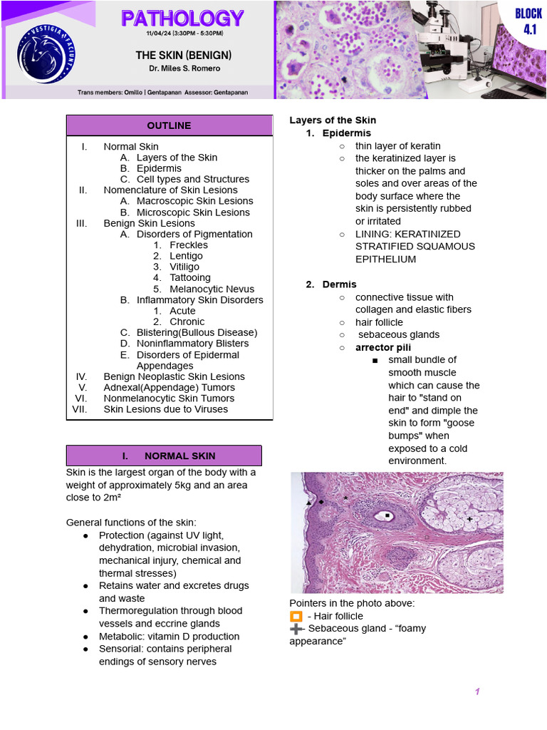 B4 Patho Lec 1 | PDF | Skin | Epidermis