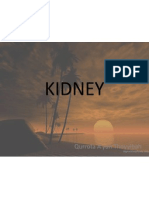 KIDNEY For Practically