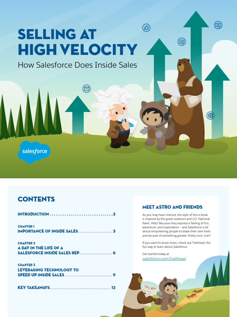 High-Velocity Inside Sales at Salesforce | PDF | Sales | Customer ...