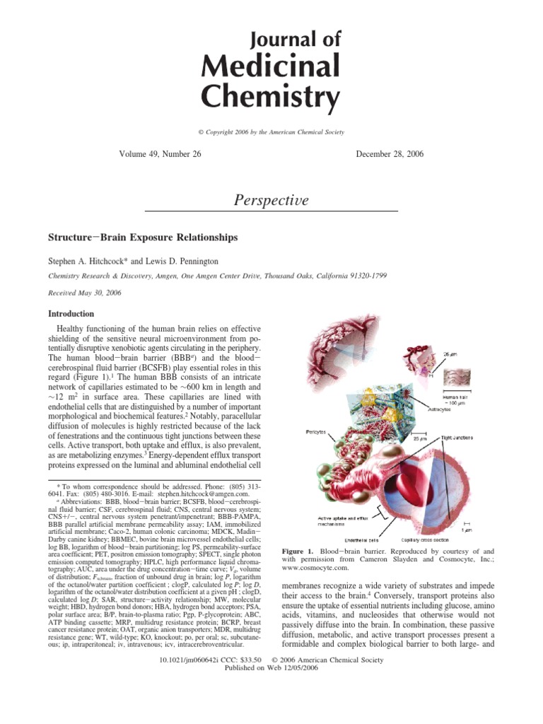 Blood Brain Barrier | PDF | Cell Membrane | Ligand (Biochemistry)
