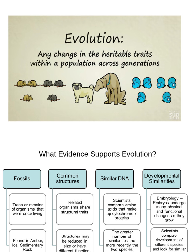 Seven Evidence of Evolution Explained | PDF | Fossil | Homology (Biology)