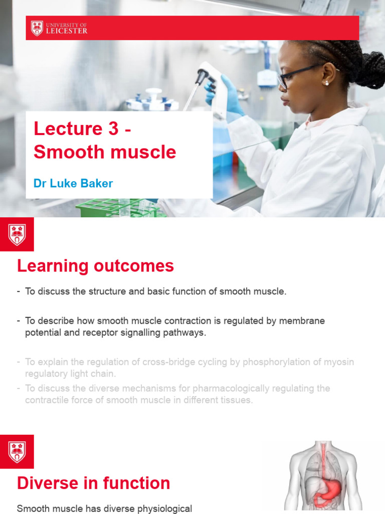 BS1060 Smooth Muscle 2024-2025 - Tagged | PDF | Muscle Contraction ...