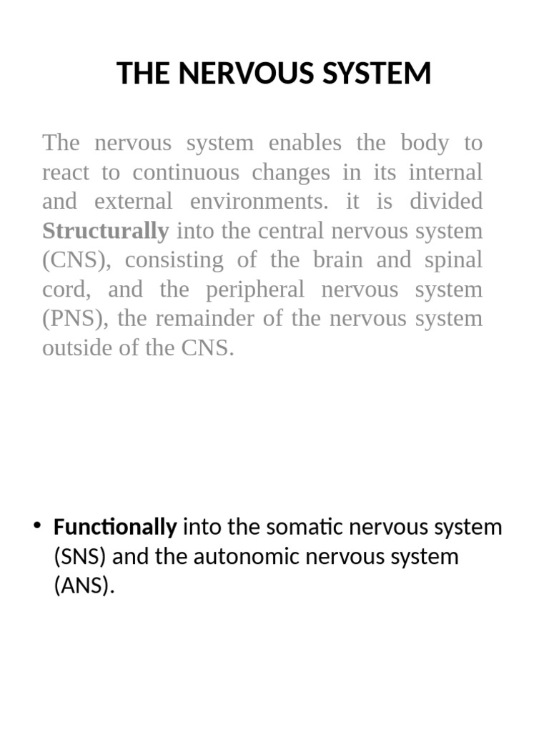 The Nervous System | PDF | Cerebrospinal Fluid | Spinal Cord
