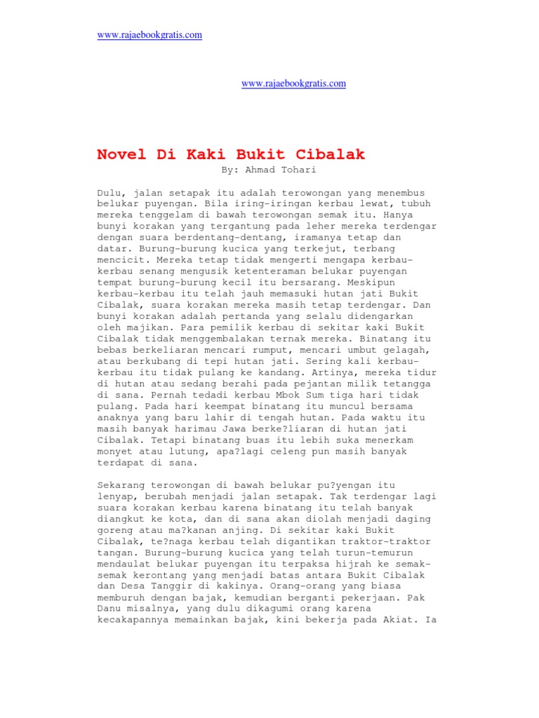 Ahmad Tohari Di Kaki Bukit Cibalak Pdf