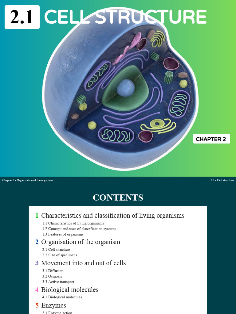 Chapter 2 Organisation of the Organism | PDF | Cell (Biology) | Cytoplasm