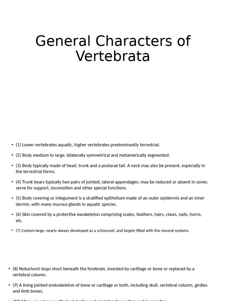 General Characters of Vertebrata | PDF