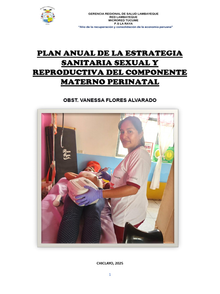 Plan Anual de Salud Materno Perinatal 2025 | PDF | Muerte materna | Parto