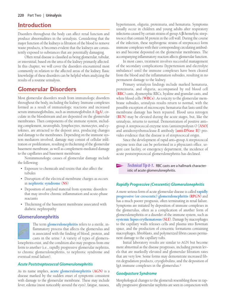 Common Renal Disorders Overview | PDF | Kidney | Kidney Disease