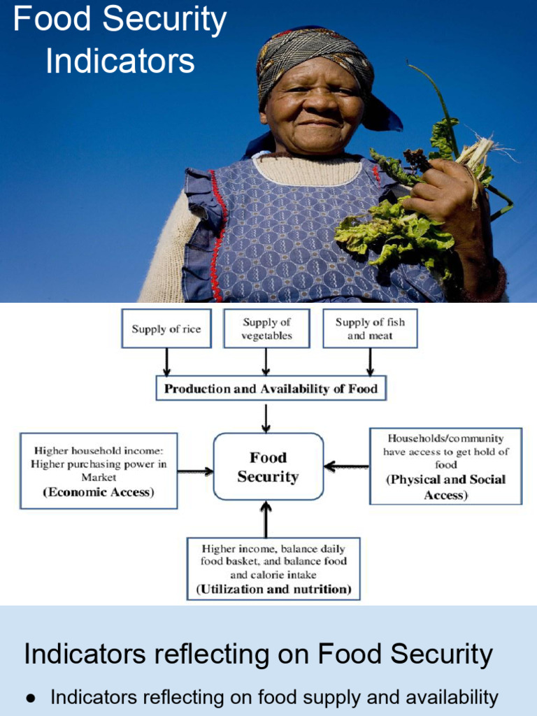 Unit 4_ Food Security Indicators | PDF | Anemia | Food Security