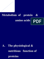 Metabolism of Protein & Amino Acids