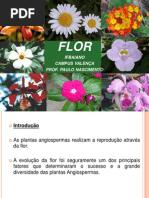 aula_flor